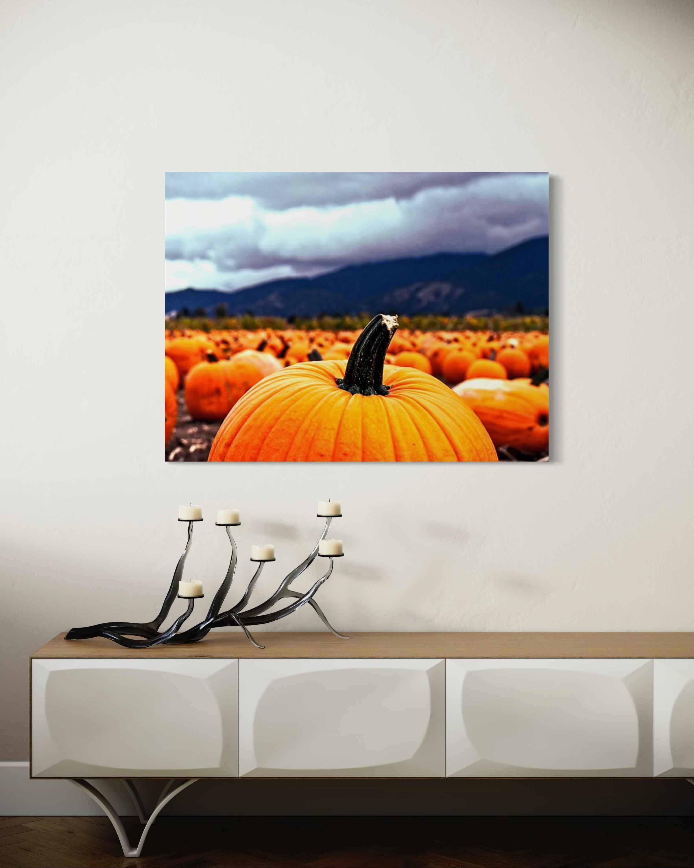 Pumpkin Patch in a Storm