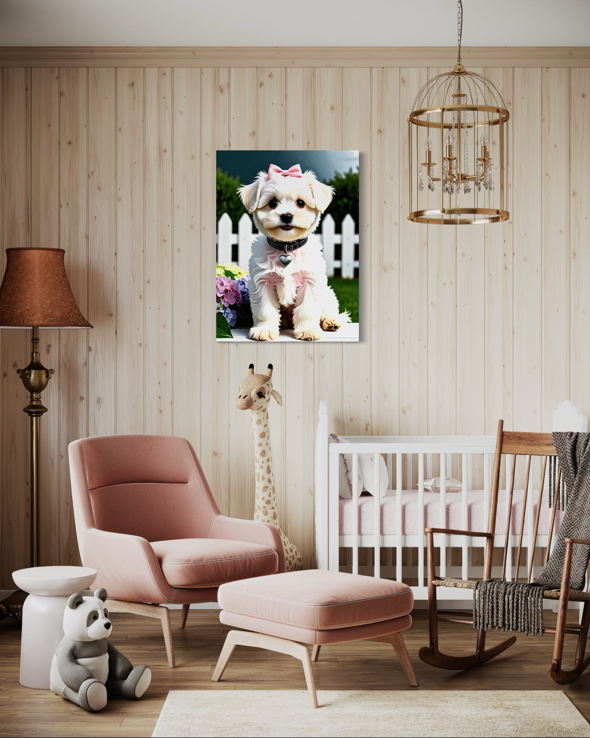 Maltese Baby Girl