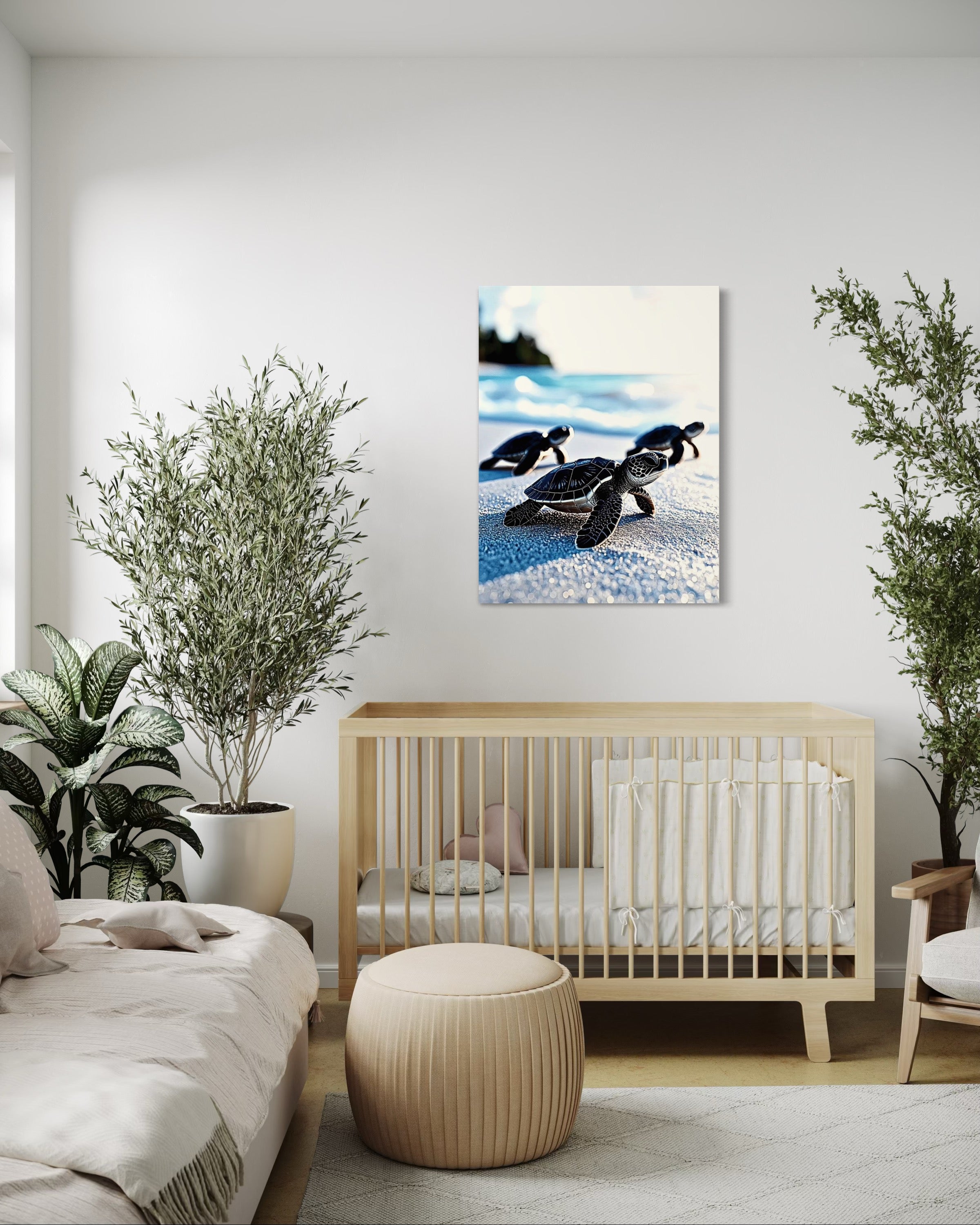 Baby Sea Turtles Museum Print