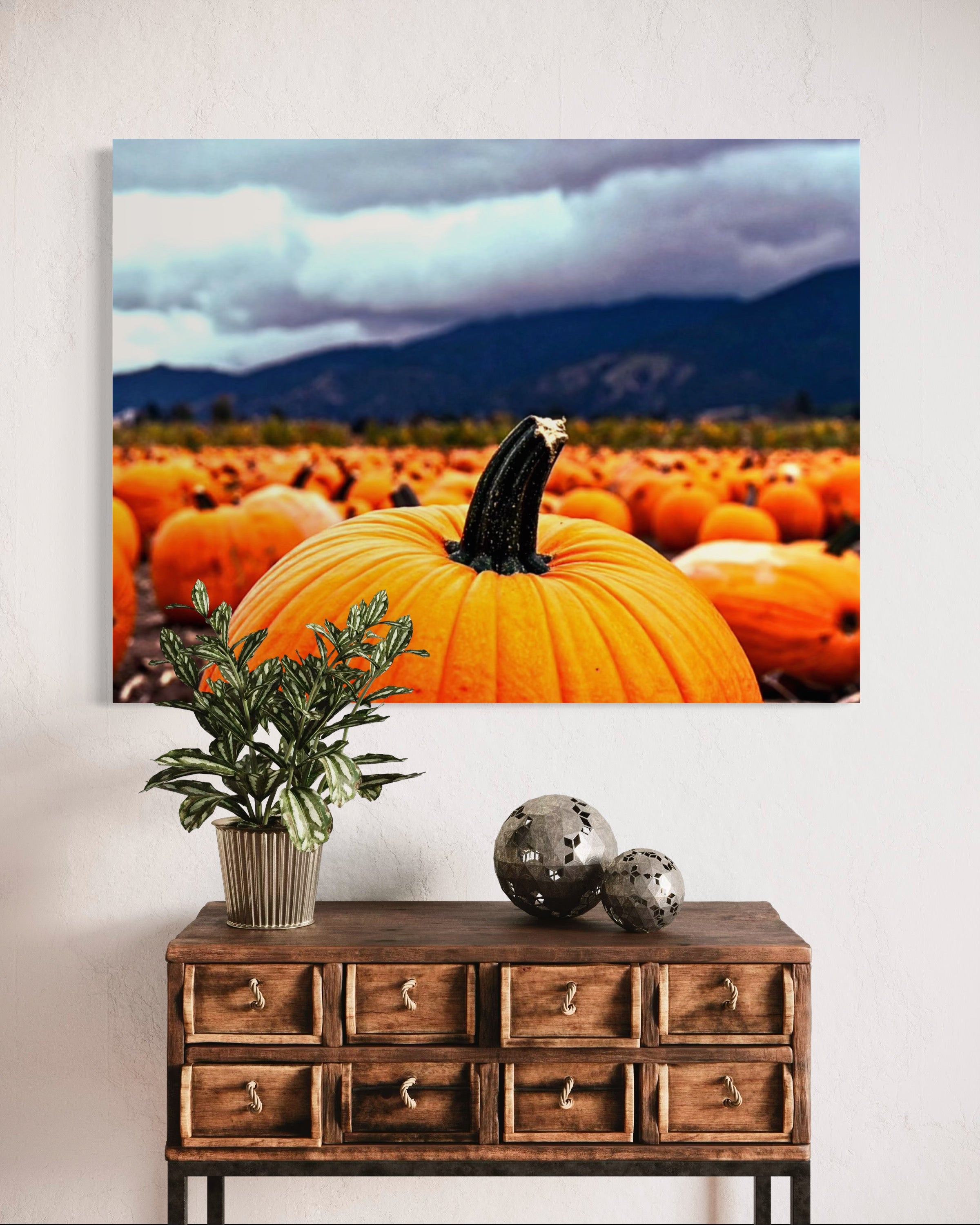 Pumpkin Patch in a Storm