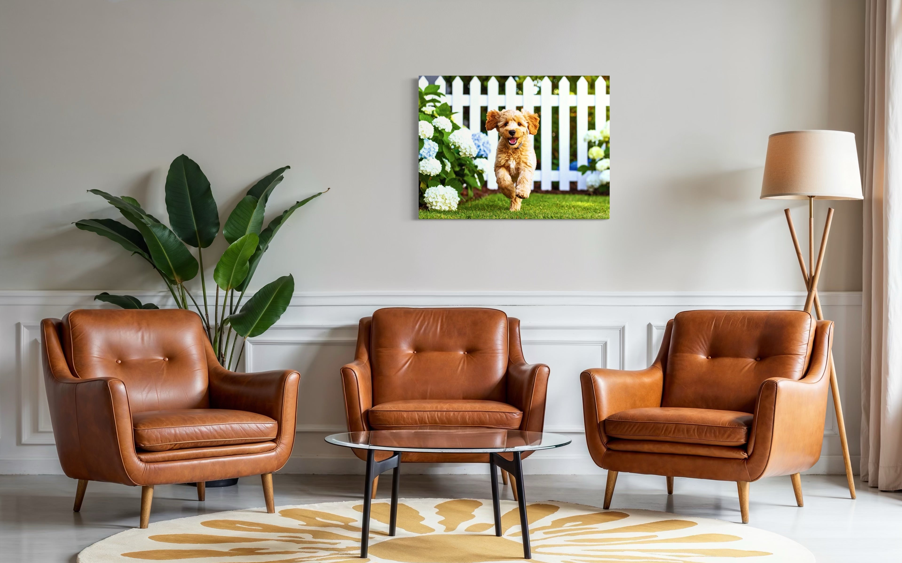 Goldendoodle Puppy Hydrangea Garden Museum Print