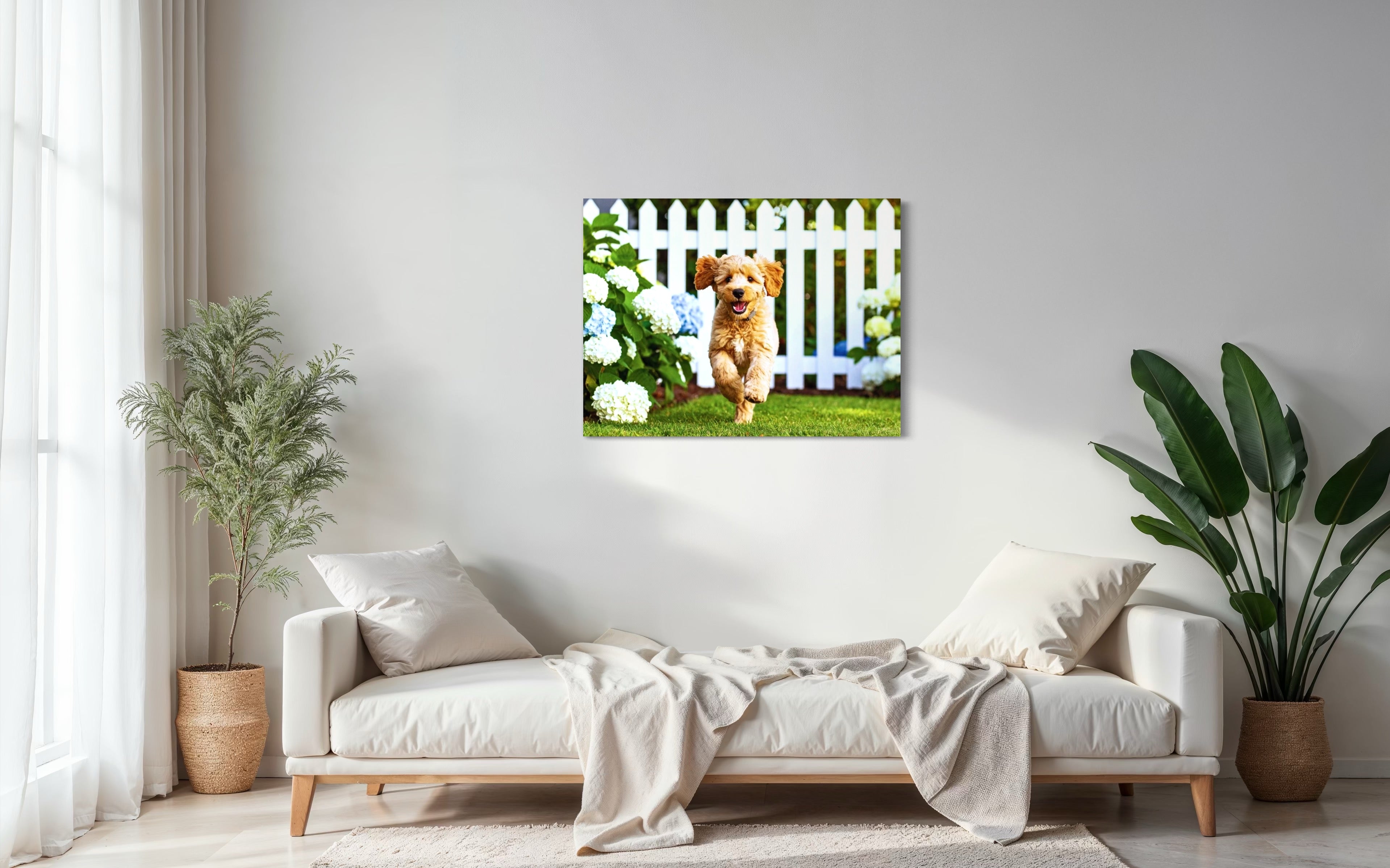 Goldendoodle Puppy Hydrangea Garden Museum Print