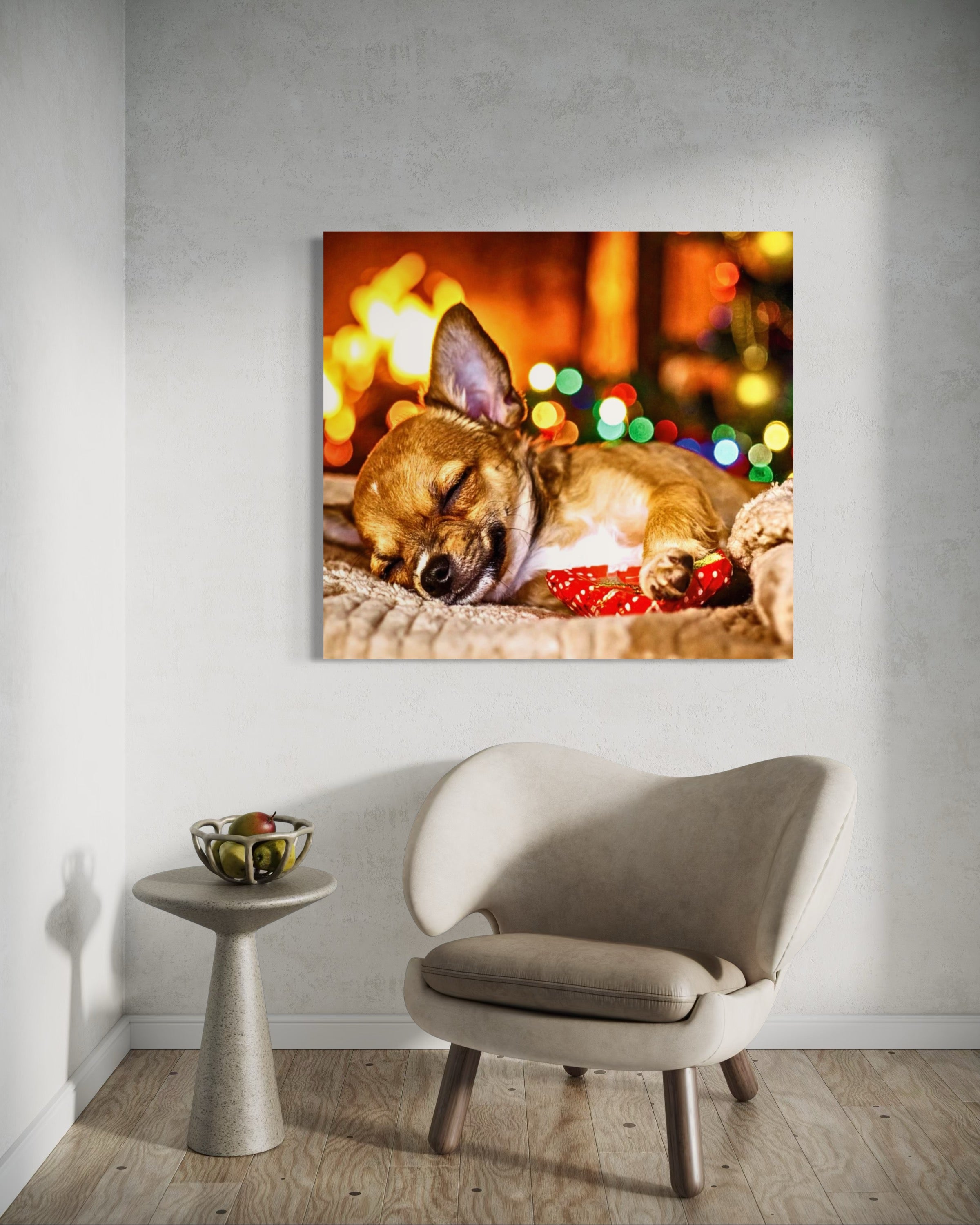 Magic Christmas Dreaming Chihuahua