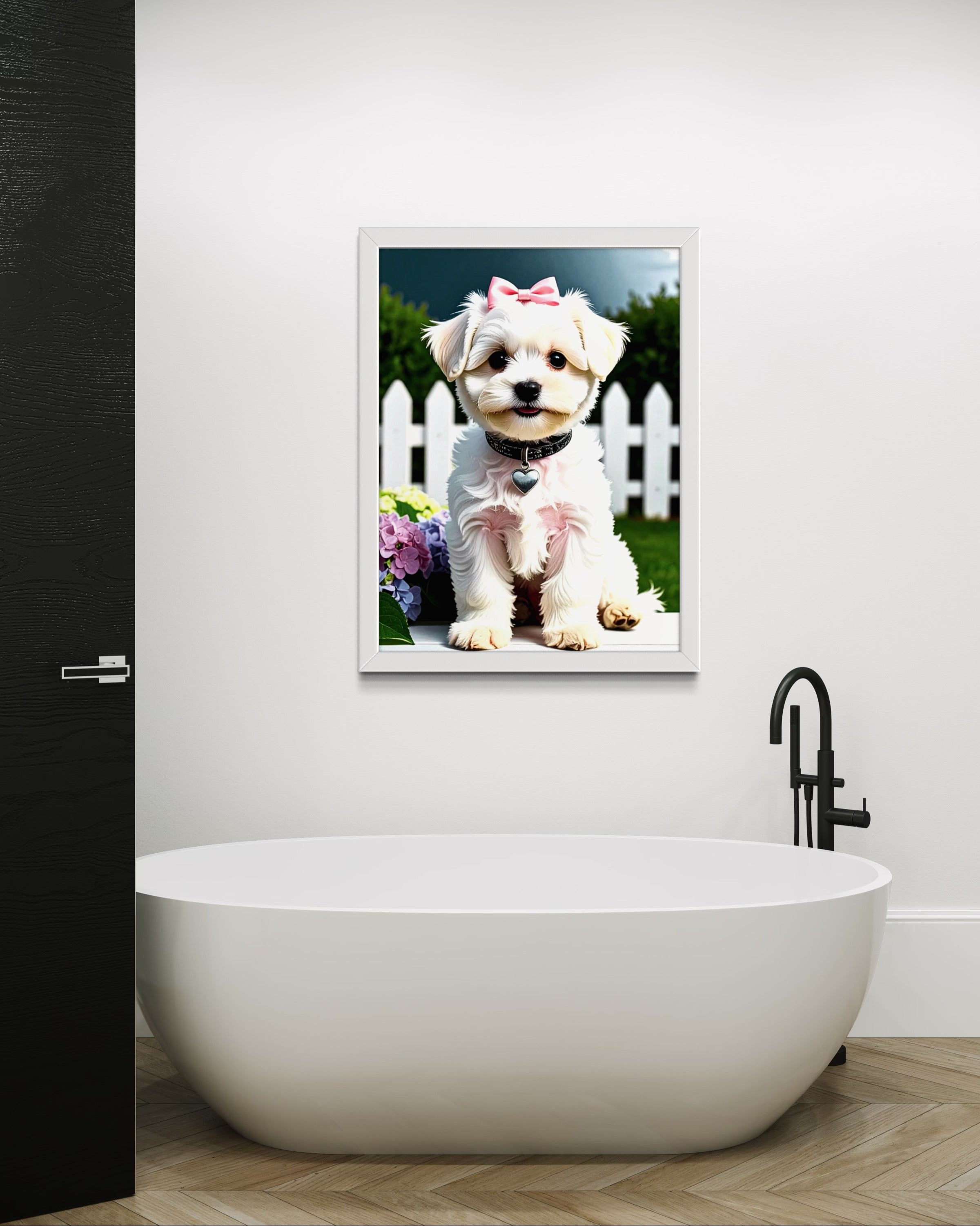 Maltese Baby Girl
