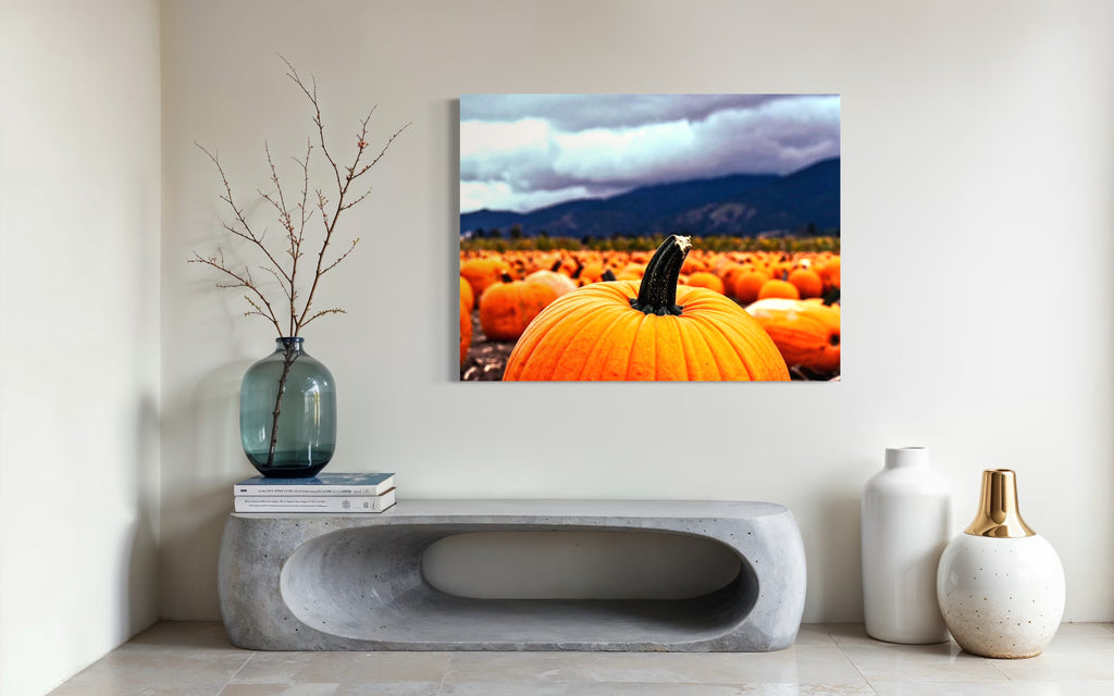 Pumpkin Patch in a Storm