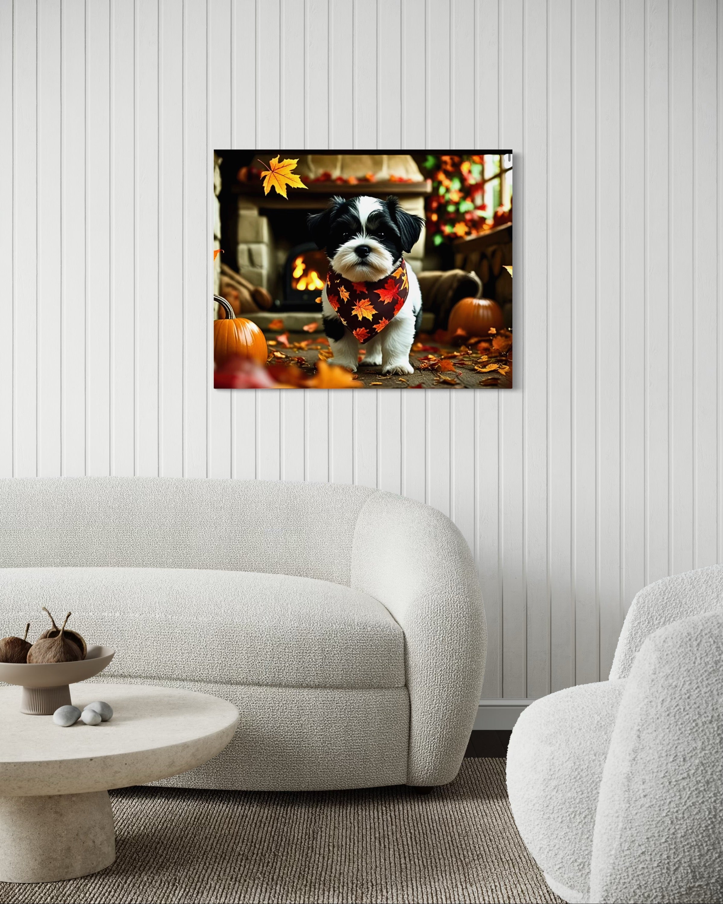 Autumn Shih Tzu Puppy