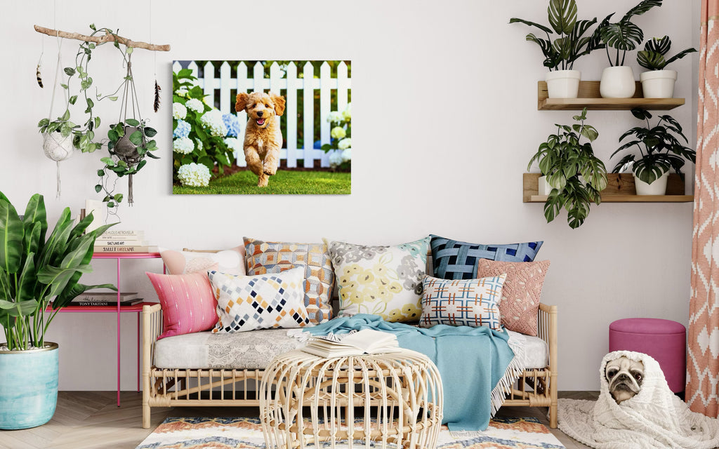 Goldendoodle Puppy Hydrangea Garden Museum Print