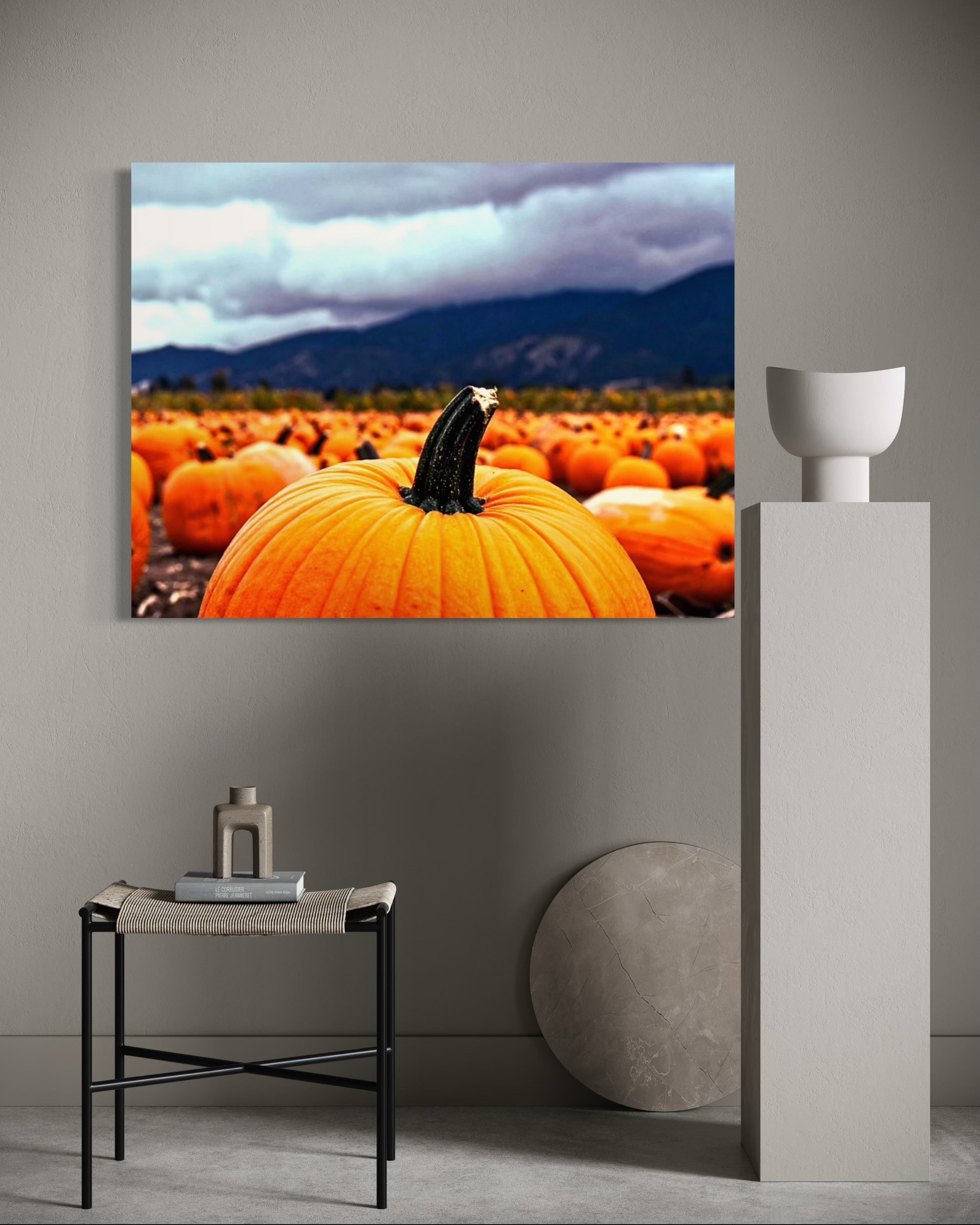 Pumpkin Patch in a Storm