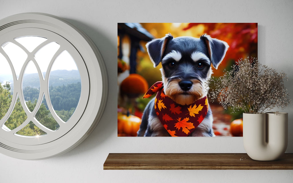 Autumn Schnauzer Puppy