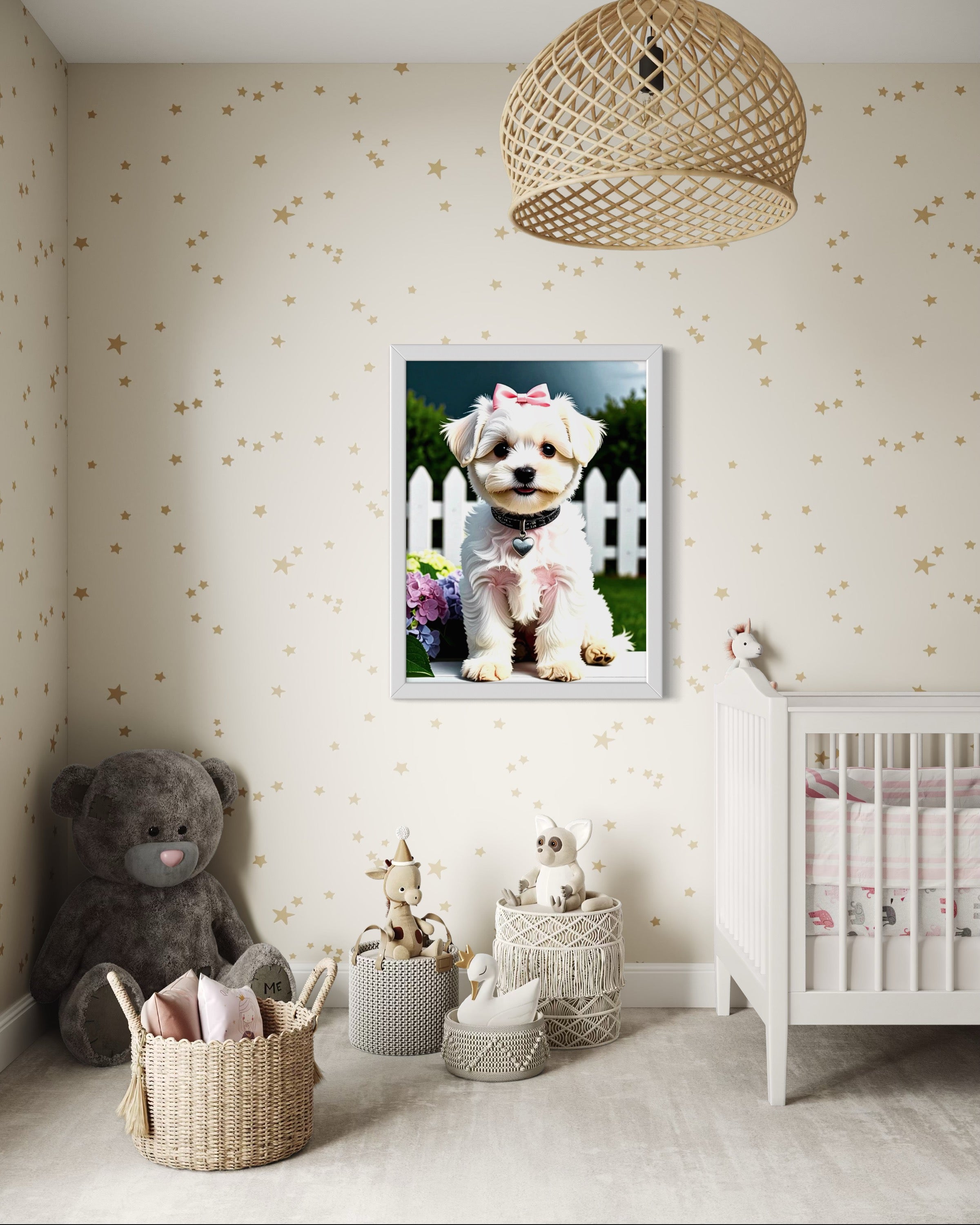 Maltese Baby Girl