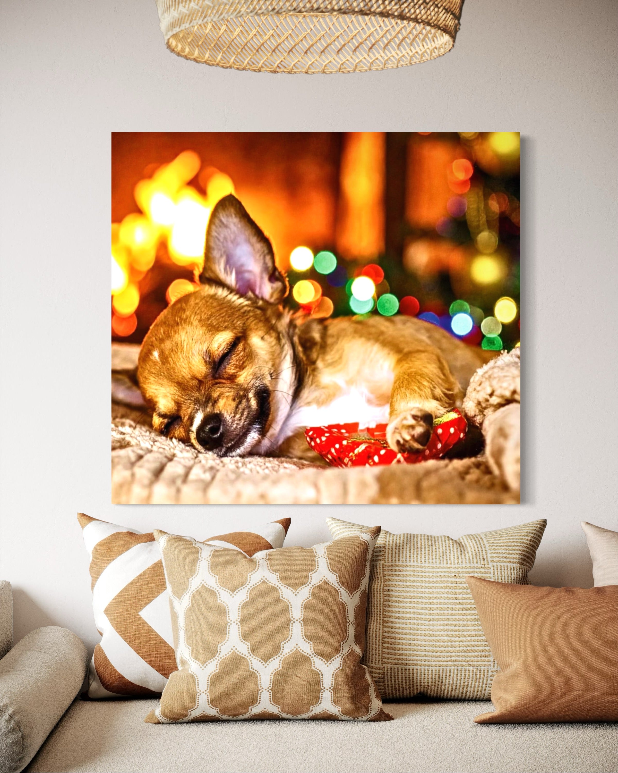 Magic Christmas Dreaming Chihuahua