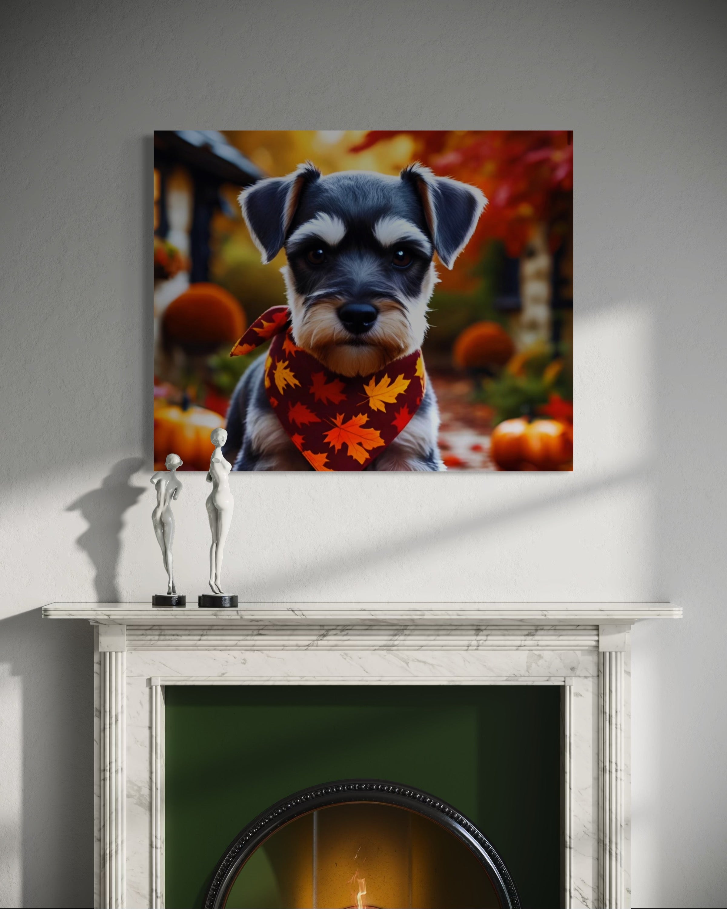 Autumn Schnauzer Puppy