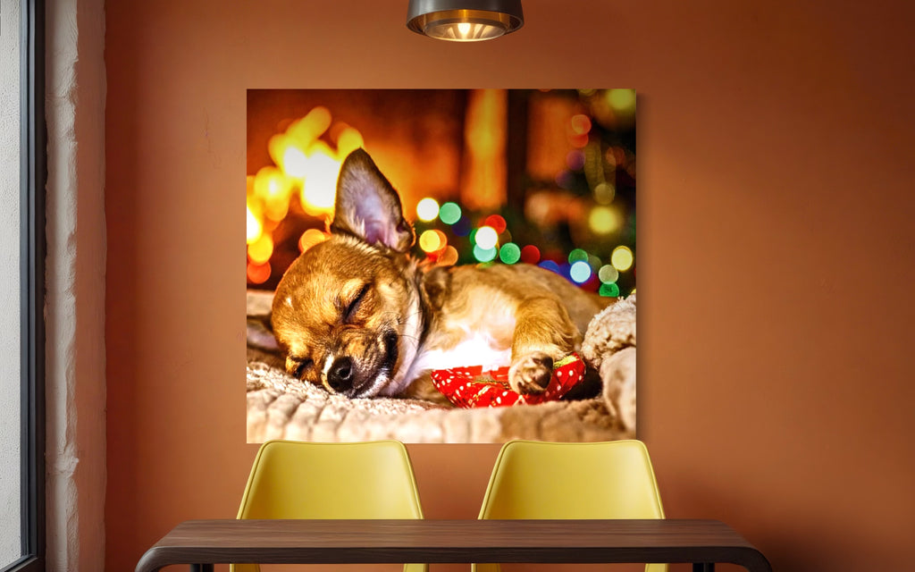 Magic Christmas Dreaming Chihuahua